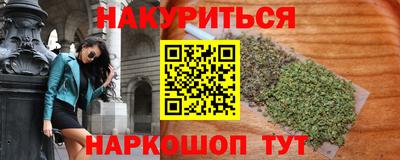 сатива Моздок