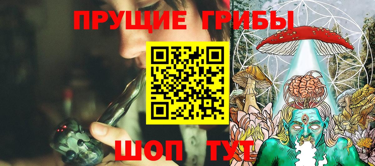 Галлюциногенные грибы Psilocybe Чебаркуль